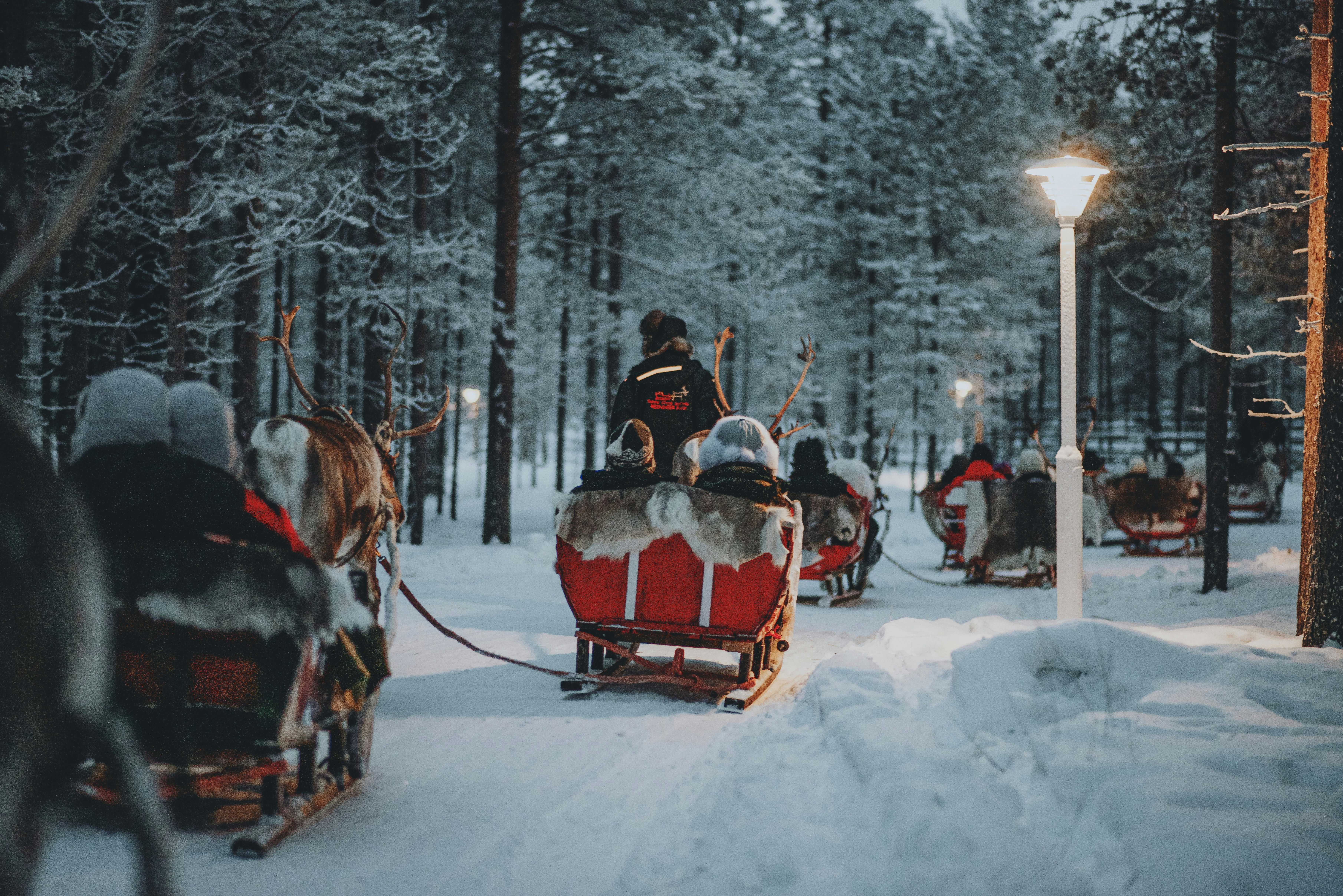Snowy winter landscape in Lapland